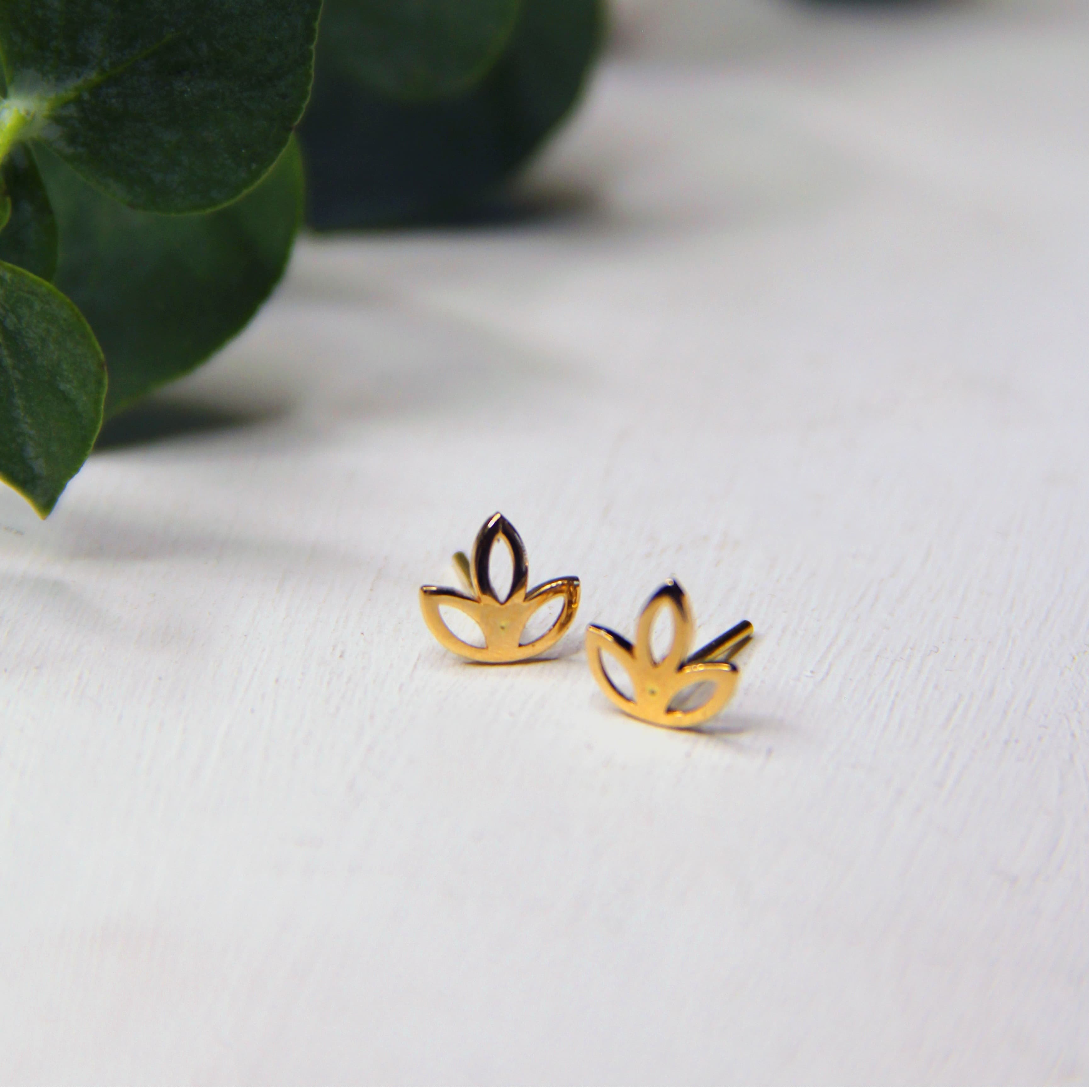 عکس 1ام محصول